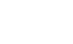 logo-white